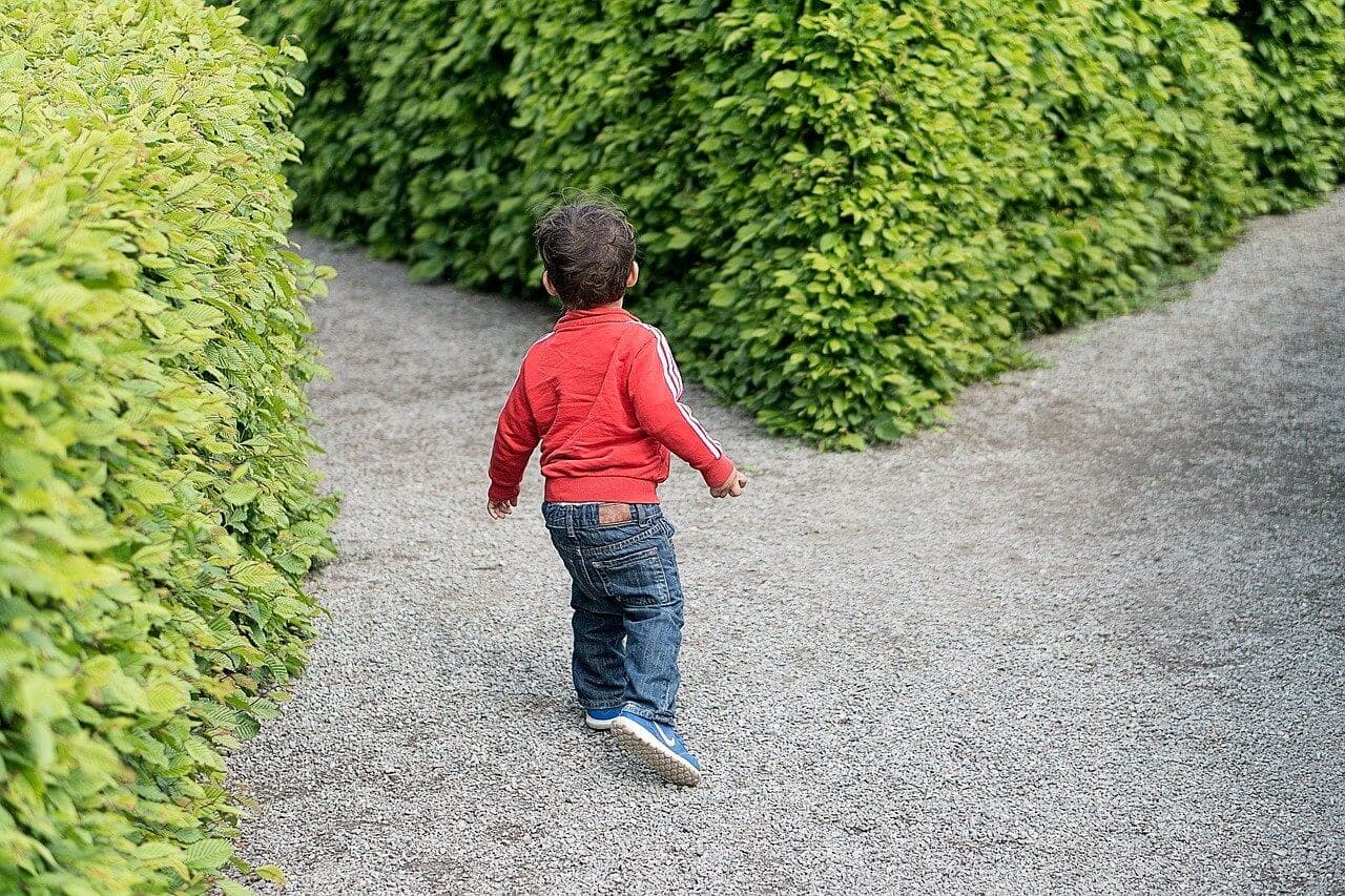 【自分がどっちかわからない方向け】INFJとINFPの違いを詳しく解説